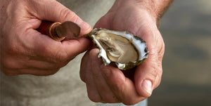 YOUR 101 TO SHUCKING - east33sydney